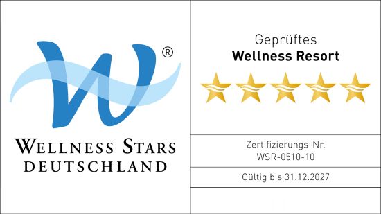 Wellness Stars Logo